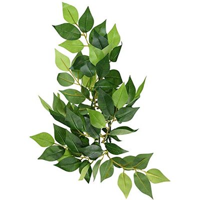 Exo Terra Exoterra Décoration Ruscus Plante Petit Modèle pour Reptiles et Amphibiens Exo Terra Exoterra Décoration Ruscus Plante Petit Modèle pour Reptiles et Amphibiens