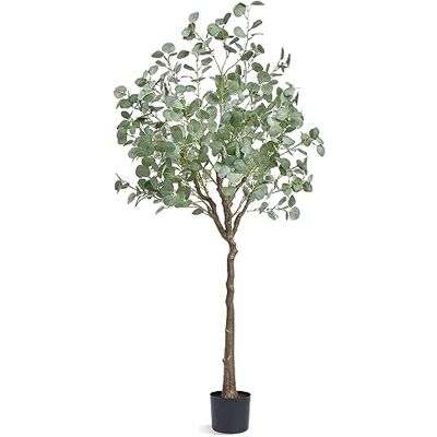 VEVOR Arbre Artificiel 181 cm Plante Artificielle PE Haut Eucalyptus Faux Arbre Vert avec Pot 170x145 mm Décoration de Style Fausse Plante pour Maison Bureau Centres Commerciaux Intérieur Extérieur VEVOR Arbre Artificiel 181 cm Plante Artificielle PE Haut Eucalyptus Faux Arbre Vert avec Pot 170x145 mm Décoration de Style Fausse Plante pour Maison Bureau Centres Commerciaux Intérieur Extérieur