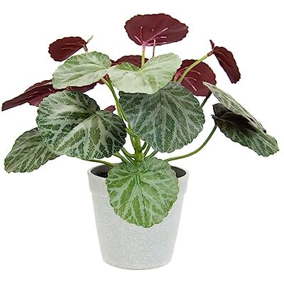 Plante artificielle Begonia I.GE.A. - Vert, 28x25x28 cm Plante artificielle Begonia I.GE.A. - Vert, 28x25x28 cm