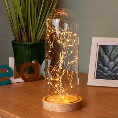 Hellum Cloche en verre avec fond en bois et guirlande lumineuse à piles, 60 LED blanc chaud, cloche en verre, 13 x 30 cm, avec piles (3 x AA, non incluses) et minuterie, pour l'intérieur, décoration Hellum Cloche en verre avec fond en bois et guirlande lumineuse à piles, 60 LED blanc chaud, cloche en verre, 13 x 30 cm, avec piles (3 x AA, non incluses) et minuterie, pour l'intérieur, décoration