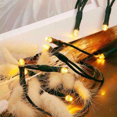 Hellum Guirlande lumineuse 35 LED, 5,10 m de long, pour l'intérieur, blanc chaud classique, < 59 lm, guirlande lumineuse verte avec prise, guirlande lumineuse pour sapin de Noël 579338 Hellum Guirlande lumineuse 35 LED, 5,10 m de long, pour l'intérieur, blanc chaud classique, < 59 lm, guirlande lumineuse verte avec prise, guirlande lumineuse pour sapin de Noël 579338