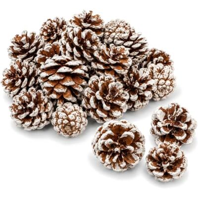 com-four ® 30x pommes de pin blanches, décorations à suspendre pour Noël cônes décoratifs pour sapin et bricolage créatif com-four ® 30x pommes de pin blanches, décorations à suspendre pour Noël cônes décoratifs pour sapin et bricolage créatif