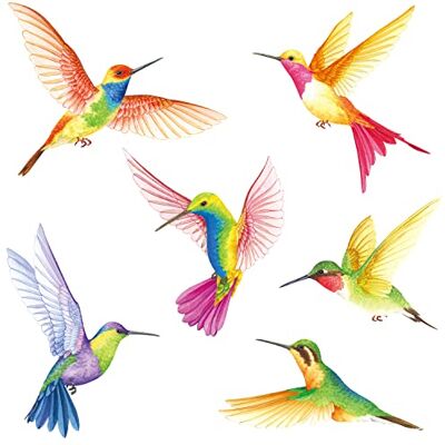 DECOWALL BASHOM DS2-4002 Sticker mural colibri pour chambre à coucher, salon, chambre d'enfant, couloir, cuisine, fenêtre DECOWALL BASHOM DS2-4002 Sticker mural colibri pour chambre à coucher, salon, chambre d'enfant, couloir, cuisine, fenêtre