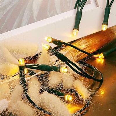 Hellum Guirlande lumineuse 20 LED, 2,85 m de long, guirlande lumineuse d'intérieur classique blanc chaud, < 59 lm, verte avec prise, pour sapin de Noël 579321 Hellum Guirlande lumineuse 20 LED, 2,85 m de long, guirlande lumineuse d'intérieur classique blanc chaud, < 59 lm, verte avec prise, pour sapin de Noël 579321