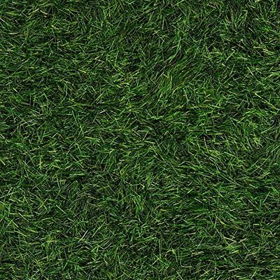 Ideen mit Herz Fibre d'herbe fine, verte, 30 g Ideen mit Herz Fibre d'herbe fine, verte, 30 g