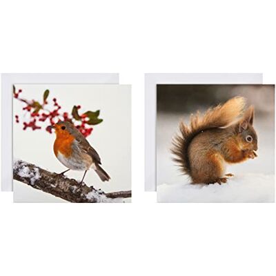 Hallmark 25572278 - 16 cartes - 2 motifs NatGeo - Cartes Hallmark 25572278 - 16 cartes - 2 motifs NatGeo - Cartes