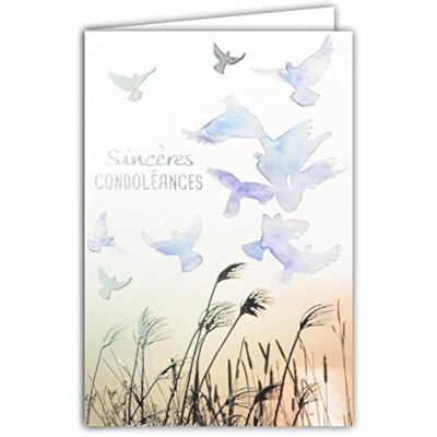 AFIE 64-1063 Carte Sincères Condoléances Bleu Violet Gris Argenté Brillant Décès Deuil Vol Oiseaux Colombes Paix Herbes Graminées Roseaux Eau Fabriqué en France AFIE 64-1063 Carte Sincères Condoléances Bleu Violet Gris Argenté Brillant Décès Deuil Vol Oiseaux Colombes Paix Herbes Graminées Roseaux Eau Fabriqué en France