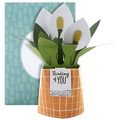Hallmark Carte pop-up – Motif contemporain de fleurs de lys de la paix Hallmark Carte pop-up – Motif contemporain de fleurs de lys de la paix