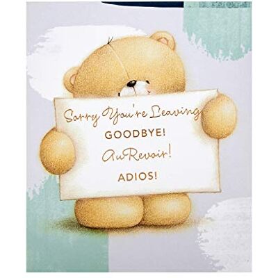 Hallmark Carte de départ – Joli motif Forever Friends Hallmark Carte de départ – Joli motif Forever Friends