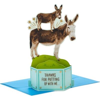 Hallmark Paper Wonder Shoebox Carte pop-up amusante pour la fête des pères, la fête des mères ou un anniversaire de la part d'un fils ou d'une fille (ânes, douleur dans la pièce) Hallmark Paper Wonder Shoebox Carte pop-up amusante pour la fête des pères, la fête des mères ou un anniversaire de la part d'un fils ou d'une fille (ânes, douleur dans la pièce)