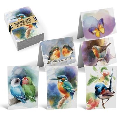 Better Office Products Lot de 50 boîtes de cartes de vœux pour toutes les occasions, 10,2 x 15,2 cm, 50 cartes vierges assorties et 50 enveloppes, 6 motifs papillons et oiseaux, intérieur vierge, lot Better Office Products Lot de 50 boîtes de cartes de vœux pour toutes les occasions, 10,2 x 15,2 cm, 50 cartes vierges assorties et 50 enveloppes, 6 motifs papillons et oiseaux, intérieur vierge, lot