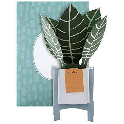 Hallmark Carte pop-up Motif zèbre contemporain Hallmark Carte pop-up Motif zèbre contemporain