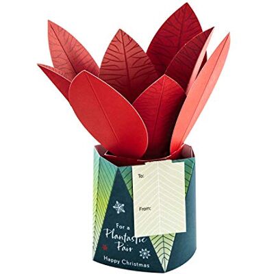 Hallmark Carte de Noël pop-up 3D contemporaine avec motif de plantes Hallmark Carte de Noël pop-up 3D contemporaine avec motif de plantes