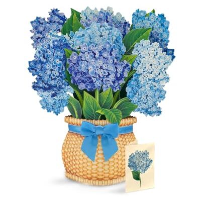 Freshcut Paper Cartes pop-up 3D Nantucket Hortensias 30,5 cm avec carte vierge et enveloppe Freshcut Paper Cartes pop-up 3D Nantucket Hortensias 30,5 cm avec carte vierge et enveloppe