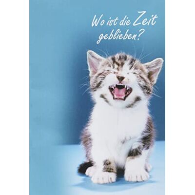 Perleberg Basic Classic 7510002-2 Carte d'anniversaire Motif chat 11,6 x 16,6 cm Perleberg Basic Classic 7510002-2 Carte d'anniversaire Motif chat 11,6 x 16,6 cm