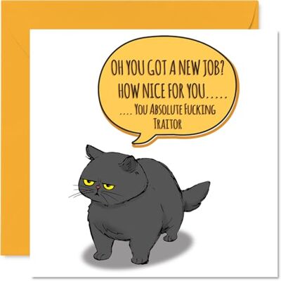 Stuff4 Carte de départ amusante pour collègues, femmes et hommes – Chat impertinent – Sorry Your Leaving Good Luck In Your New Job Card 145 mm x 145 mm Cartes de vœux pour plaisanterie, cadeaux de départ Stuff4 Carte de départ amusante pour collègues, femmes et hommes – Chat impertinent – Sorry Your Leaving Good Luck In Your New Job Card 145 mm x 145 mm Cartes de vœux pour plaisanterie, cadeaux de départ