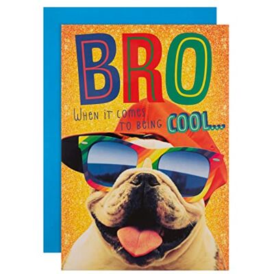 Hallmark Carte d'anniversaire pour frère – Motif chien Mad as Cheese Top Dog Hallmark Carte d'anniversaire pour frère – Motif chien Mad as Cheese Top Dog