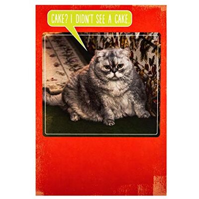 Hallmark Studio Carte d'anniversaire Motif chat et gâteau Hallmark Studio Carte d'anniversaire Motif chat et gâteau