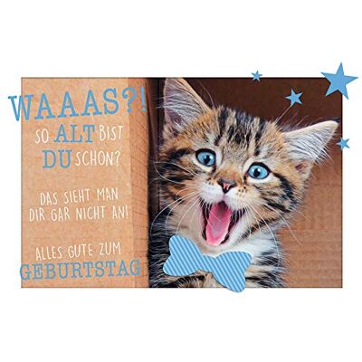 Perleberg Carte d'anniversaire Lifestyle Happy Birthday Chat 11,6 x 16,6 cm Perleberg Carte d'anniversaire Lifestyle Happy Birthday Chat 11,6 x 16,6 cm