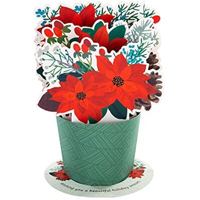 Hallmark Carte de Noël pour les deux – Bouquet de fleurs pop-up 3D coloris assortis 25559217 Hallmark Carte de Noël pour les deux – Bouquet de fleurs pop-up 3D coloris assortis 25559217