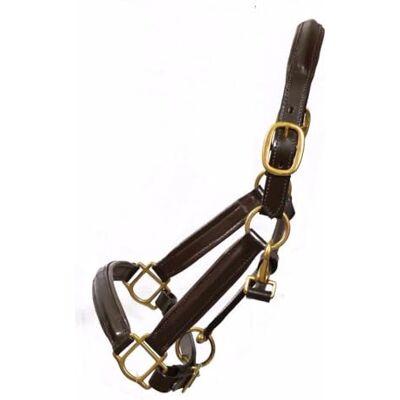 Aces Equine Licol réglable en cuir entièrement surélevé et rembourré en laiton (brut) Aces Equine Licol réglable en cuir entièrement surélevé et rembourré en laiton (brut)