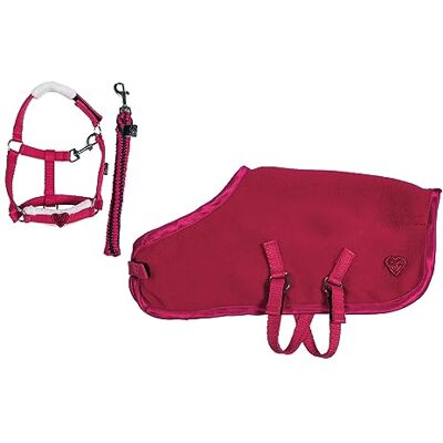 HKM Cuddle Pony Kit de démarrage Rouge Taille unique HKM Cuddle Pony Kit de démarrage Rouge Taille unique