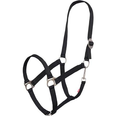 Imperial Riding Licol économique en nylon robuste de 25 mm avec boucle coulissante réglable, sangle à mousqueton, durable et facile d'entretien, pour l'entraînement, l'écurie et la vie quotidienne Imperial Riding Licol économique en nylon robuste de 25 mm avec boucle coulissante réglable, sangle à mousqueton, durable et facile d'entretien, pour l'entraînement, l'écurie et la vie quotidienne