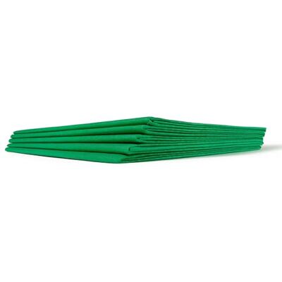 Dr. Güstel Waschfaserlaken Dr. Güstel draps non tissés lavables ACTIV 160 x 210 cm, vert 5 draps d'examen Dr. Güstel Waschfaserlaken Dr. Güstel draps non tissés lavables ACTIV 160 x 210 cm, vert 5 draps d'examen