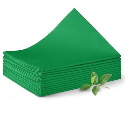 Dr. Güstel Waschfaserlaken Dr. Güstel draps non tissés lavables ACTIV 80x210cm, 10+2 draps de massage vert, drap d'examen Dr. Güstel Waschfaserlaken Dr. Güstel draps non tissés lavables ACTIV 80x210cm, 10+2 draps de massage vert, drap d'examen