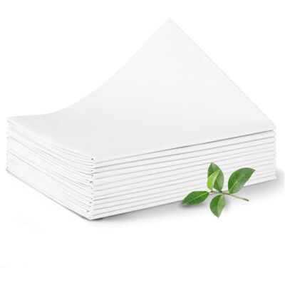 Dr. Güstel Waschfaserlaken Dr. Güstel Draps Non Tissés Lavables ACTIV, Blanc, 80 x 210 cm 10+2 draps, Draps de massage, Drap d'examen Dr. Güstel Waschfaserlaken Dr. Güstel Draps Non Tissés Lavables ACTIV, Blanc, 80 x 210 cm 10+2 draps, Draps de massage, Drap d'examen