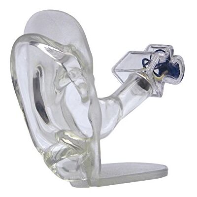 3B Scientific GPI Anatomicals W33383 Oreille Transparent 3B Scientific GPI Anatomicals W33383 Oreille Transparent