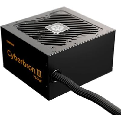 Enermax CYBERBRON III 750 W Bloc d'alimentation ATX 3.1 non modulaire PCIe 5.1 80 Plus Bronze Ventilateur FDB silencieux 120 mm DC to DC avec condensateurs jap EMB750EWT-NAC Enermax CYBERBRON III 750 W Bloc d'alimentation ATX 3.1 non modulaire PCIe 5.1 80 Plus Bronze Ventilateur FDB silencieux 120 mm DC to DC avec condensateurs jap EMB750EWT-NAC