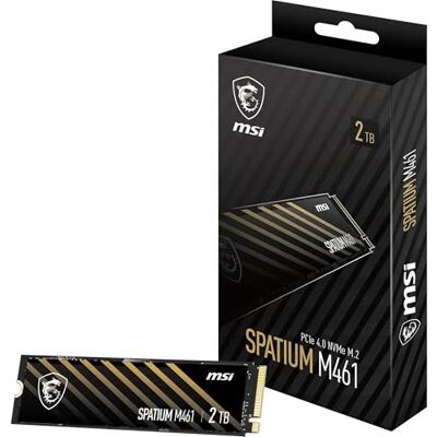 MSI SPATIUM M461 PCIe 4.0 NVMe M.2 2TB MSI SPATIUM M461 PCIe 4.0 NVMe M.2 2TB
