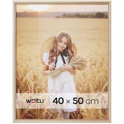 WOLTU 1 pièce Cadre de photo en bois Artos style Façade en plastique,40x50cm,Or BR9918gd WOLTU 1 pièce Cadre de photo en bois Artos style Façade en plastique,40x50cm,Or BR9918gd