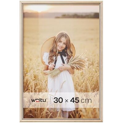 WOLTU 1 pièce Cadre de photo en bois Artos style Façade en plastique,30x45cm,Or BR9917gd WOLTU 1 pièce Cadre de photo en bois Artos style Façade en plastique,30x45cm,Or BR9917gd