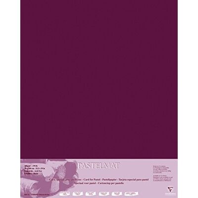 Clairefontaine 96163C Paquet Papier Pastelmat 5 Feuilles Carte Spéciale pour Pastels Secs 70x100 cm 360g Lie de Vin Clairefontaine 96163C Paquet Papier Pastelmat 5 Feuilles Carte Spéciale pour Pastels Secs 70x100 cm 360g Lie de Vin