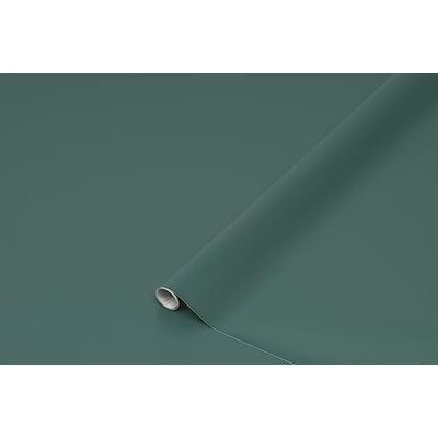 d-c-fix Film adhésif uni mat vert Film décoratif pour meubles, papier peint, autocollant, design, rénovation, upcycling, meubles, cuisine, armoire, porte, Uni satiné, vert mallard 45 cm x 2 m d-c-fix Film adhésif uni mat vert Film décoratif pour meubles, papier peint, autocollant, design, rénovation, upcycling, meubles, cuisine, armoire, porte, Uni satiné, vert mallard 45 cm x 2 m