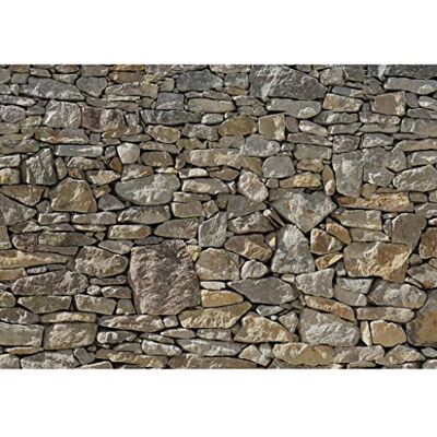 Komar 8-727 Papier peint photo mur de pierre 368 x 254 cm Papier peint, mur en pierre Aspect pierre Komar 8-727 Papier peint photo mur de pierre 368 x 254 cm Papier peint, mur en pierre Aspect pierre