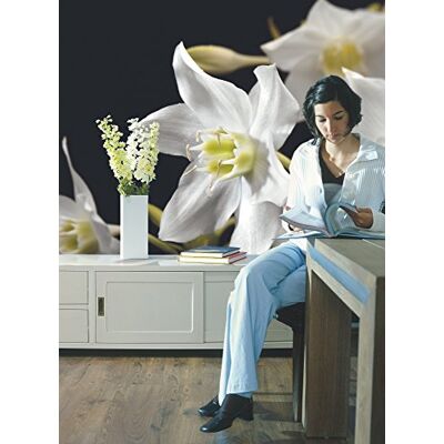 Komar Papier peint photo MADONNA 254 x 184 cm Papier peint mural Décoration murale Lys Fleurs 4-259 Komar Papier peint photo MADONNA 254 x 184 cm Papier peint mural Décoration murale Lys Fleurs 4-259