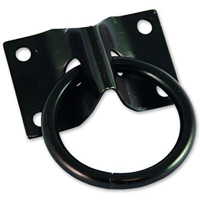 Chapuis 8907ZN Platine avec Anneau, Noir, 70 x 45 mm, Inconnu Chapuis 8907ZN Platine avec Anneau, Noir, 70 x 45 mm, Inconnu