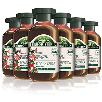 Antica Erboristeria Laboratorio Natura Antica Erboristeria Shampooing Nourrissant Rose Sauvage et Myrtille Rouge, Shampooing pour Cheveux Secs, avec Ingrédients Naturels, 6 x 250 ml Antica Erboristeria Laboratorio Natura Antica Erboristeria Shampooing Nourrissant Rose Sauvage et Myrtille Rouge, Shampooing pour Cheveux Secs, avec Ingrédients Naturels, 6 x 250 ml