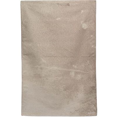 BRESSER Toile de fond avec motif photo 80 x 120 cm Beige BRESSER Toile de fond avec motif photo 80 x 120 cm Beige