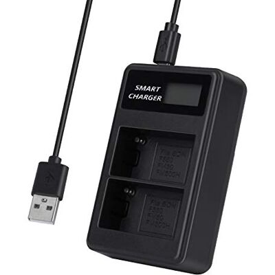 fittings4you Double chargeur LCD compatible pour 2 x Sony Batterie NP-F550 Effet anti-mémoire LC9404 fittings4you Double chargeur LCD compatible pour 2 x Sony Batterie NP-F550 Effet anti-mémoire LC9404