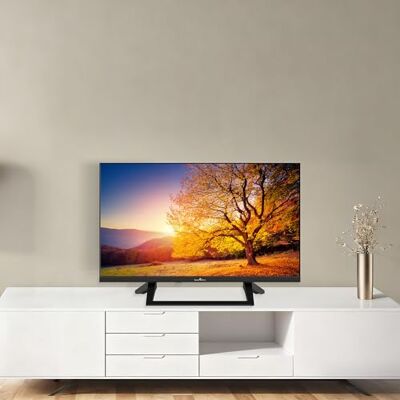 Smart Tech TV LED HD 24" (60 cm) Smart TV Google 24HG01VC Chargeur de véhicule 12v fourni, HDMI, USB, Résolution: 1366 * 768 Smart Tech TV LED HD 24" (60 cm) Smart TV Google 24HG01VC Chargeur de véhicule 12v fourni, HDMI, USB, Résolution: 1366 * 768