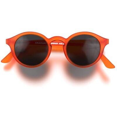 LONDON MOLE ® Graduate Lunettes de soleil Des verres ronds en forme de panto sympas Unisex féminin masculin Charnières à ressort LONDON MOLE ® Graduate Lunettes de soleil Des verres ronds en forme de panto sympas Unisex féminin masculin Charnières à ressort
