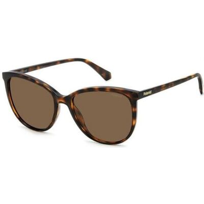 Polaroid GAFAS Modelo: PLD 4138/S C: HAVANA Eye size: 55_Bridge size: 18 / Polarized: Sí Santé et soins personnels Polaroid GAFAS Modelo: PLD 4138/S C: HAVANA Eye size: 55_Bridge size: 18 / Polarized: Sí Santé et soins personnels