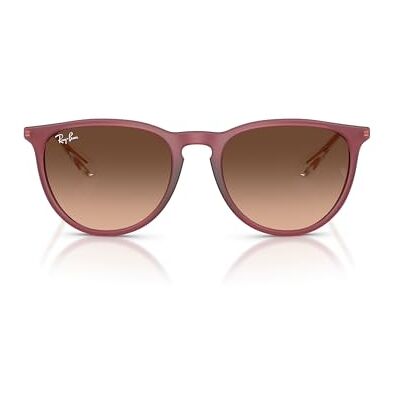 Ray-Ban Rb4171 Erika Lunettes Unisexe-Adulte, Caoutchouc violet/rose dégradé marron, 54 mm Ray-Ban Rb4171 Erika Lunettes Unisexe-Adulte, Caoutchouc violet/rose dégradé marron, 54 mm