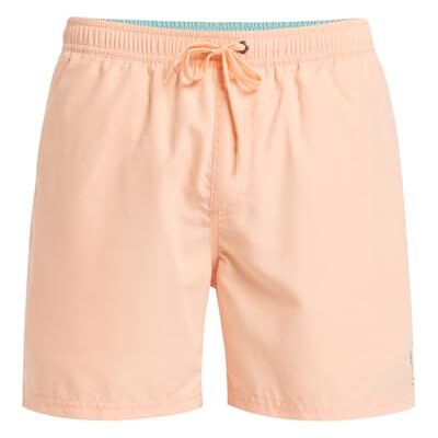 Quiksilver Spl Fineline Volley 15 Combinaison modèle court Homme (lot de 1) Quiksilver Spl Fineline Volley 15 Combinaison modèle court Homme (lot de 1)