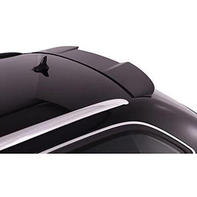 RDX RACEDESIGN Aleron de toit - Rear Wing Trunk RDX RACEDESIGN Aleron de toit - Rear Wing Trunk