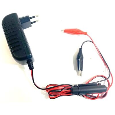 Enerpower Steck Chargeur 4S 14,6 V pour batteries LiFePo4 12 V (12,8 V) 2 A Crocodile Enerpower Steck Chargeur 4S 14,6 V pour batteries LiFePo4 12 V (12,8 V) 2 A Crocodile